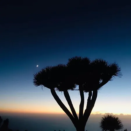 Casa Rodri Puntagorda (La Palma)